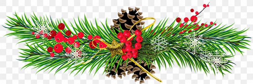 Clip Art Christmas Day Conifer Cone Pine, PNG, 960x321px, Christmas Day, American Larch, Branch, Canadian Fir, Christmas Tree Download Free