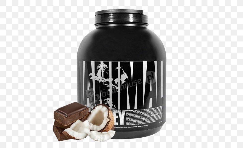 Dietary Supplement Whey Protein Isolate, PNG, 500x500px, Dietary Supplement, Bodybuilding Supplement, Chocolate, Digestion, Food Download Free