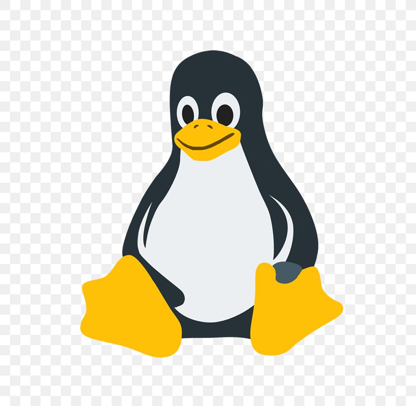Linux Tux, PNG, 800x800px, Linux, Alt Linux, Beak, Bird, Computer Network Download Free