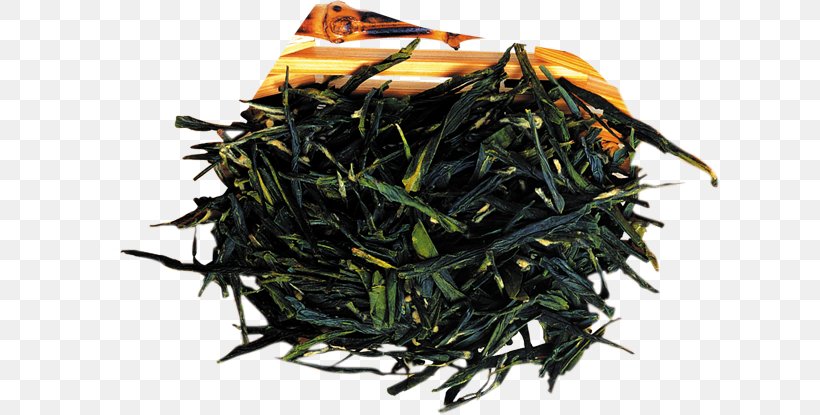 Nilgiri Tea Puer City Yixing Gyokuro, PNG, 621x415px, Tea, Bai Mudan, Bancha, Camellia Sinensis, Ceylon Tea Download Free