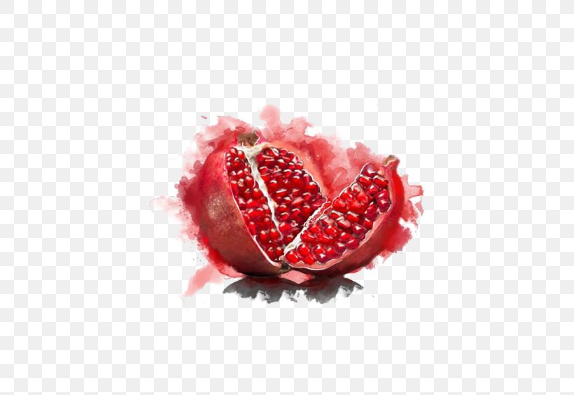 Pomegranate Watercolor Painting Fruit Vegetarian Cuisine Illustration, PNG, 564x564px, Pomegranate, Botanical Illustration, Creativity, Food, Fruit Download Free