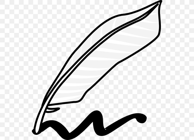 Writing Pen Quill Clip Art, PNG, 552x595px, Writing, Animation, Area, Beak, Black Download Free