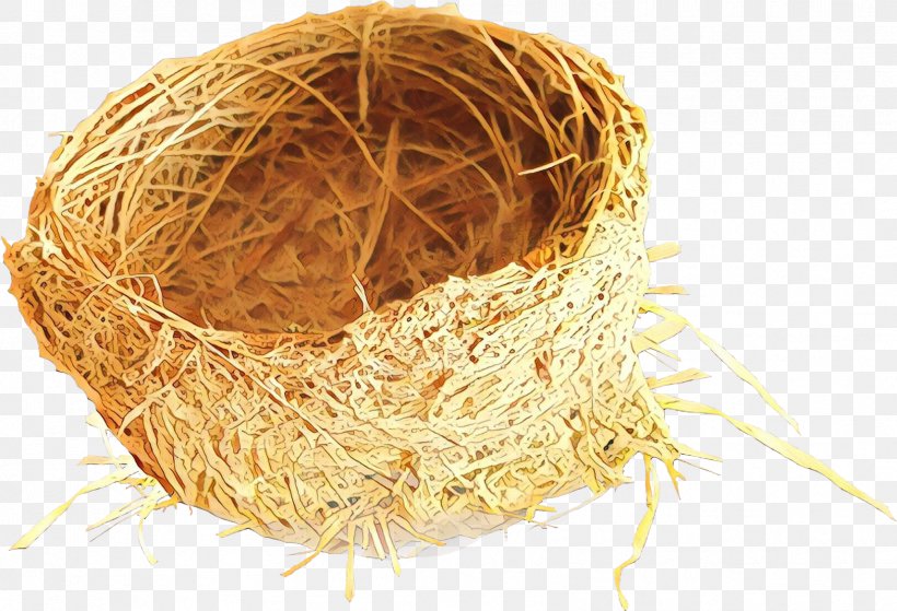 Bird Nest Nest Straw, PNG, 1713x1169px, Cartoon, Bird Nest, Nest, Straw Download Free