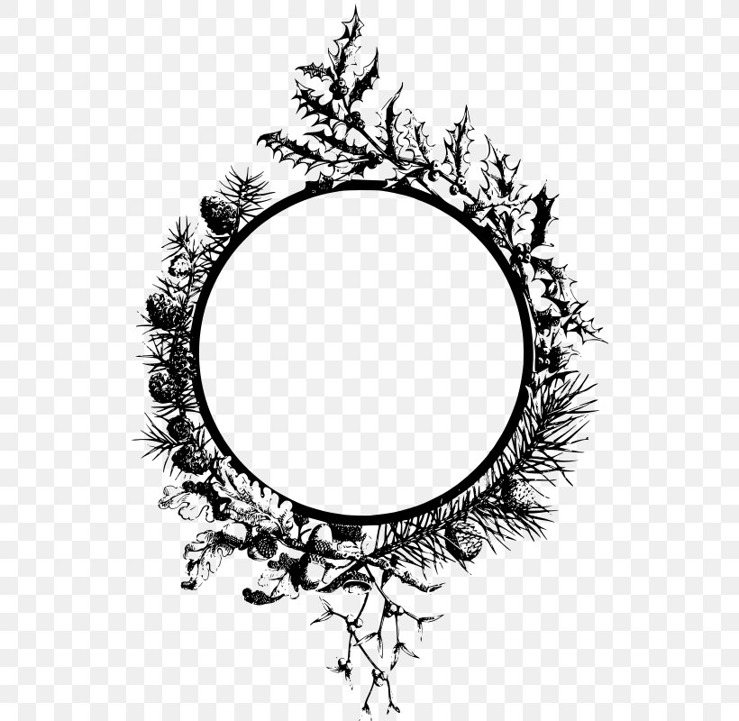 Black & White, PNG, 530x800px, Black White M, Branch, Oval, Picture Frames, Pine Download Free