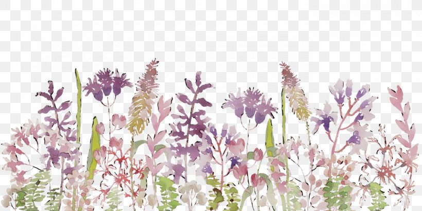 English Lavender French Lavender Grasses Plant Stem Plants, PNG, 1380x690px, English Lavender, Flower, Flowering Plant, French Lavender, Grass Download Free