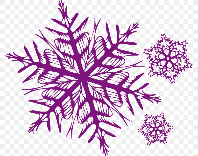 Petal Visual Arts Snowflake Pattern, PNG, 779x649px, Petal, Art, Flower, Flowering Plant, Leaf Download Free