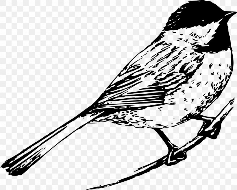 Bird Sparrow Black-capped Chickadee Clip Art, PNG, 1275x1023px, Bird, Beak, Bird Flight, Black And White, Blackcapped Chickadee Download Free