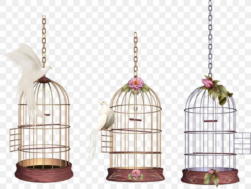 Cage Bird Clip Art, PNG, 1978x1492px, Cage, Bird Download Free