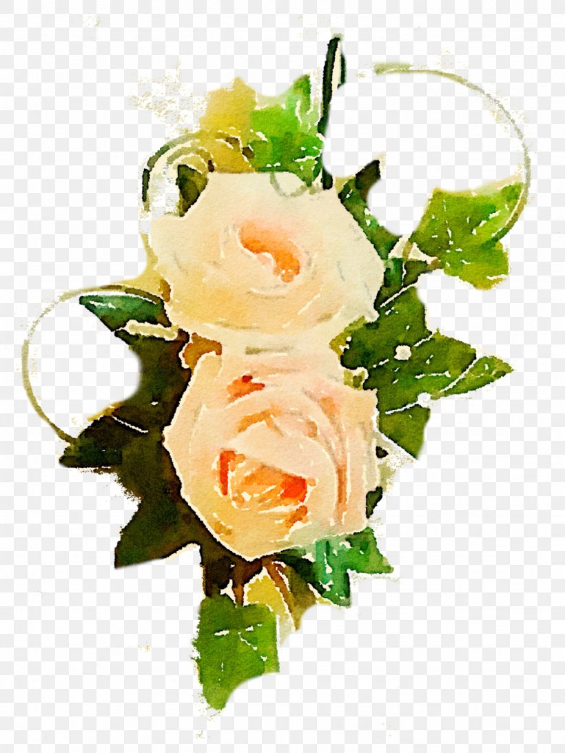 Flower Centifolia Roses Garden Roses Clip Art, PNG, 1024x1365px, Flower, Artificial Flower, Centifolia Roses, Cut Flowers, Floral Design Download Free