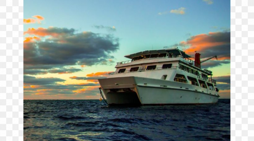 Great Barrier Reef Daintree Rainforest Cairns Dive Liveaboard Reef Trip, PNG, 1260x700px, Great Barrier Reef, Australia, Boat, Cairns, Cairns Region Download Free