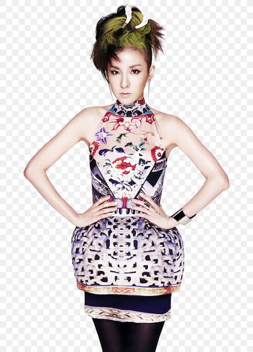 Sandara Park I Love You 2NE1 Female, PNG, 701x1139px, Watercolor, Cartoon, Flower, Frame, Heart Download Free