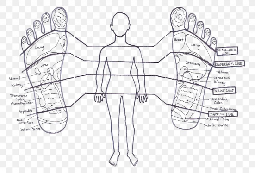 Stories The Feet Can Tell Thru Reflexology Foot Human Body Hand, PNG, 1137x775px, Watercolor, Cartoon, Flower, Frame, Heart Download Free