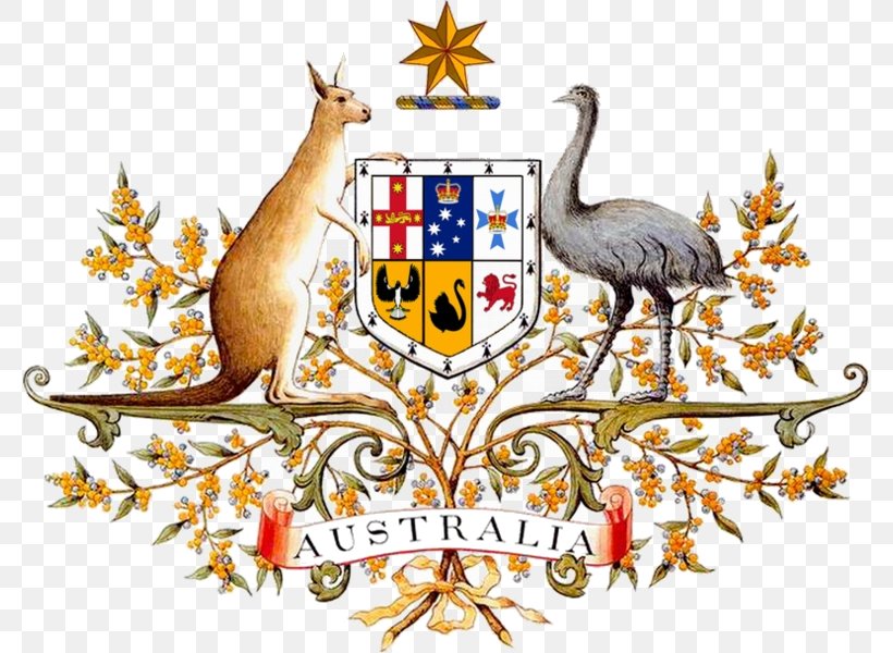 Coat Of Arms Of Australia National Symbols Of Australia Emu, PNG, 777x600px, Australia, Blazon, Coat Of Arms, Coat Of Arms Of Australia, Coat Of Arms Of South Australia Download Free