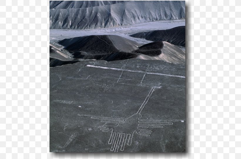 Nazca Lines Water Wood /m/083vt Photography, PNG, 856x564px, Nazca Lines, Animal, Nazca, Photography, Poster Download Free