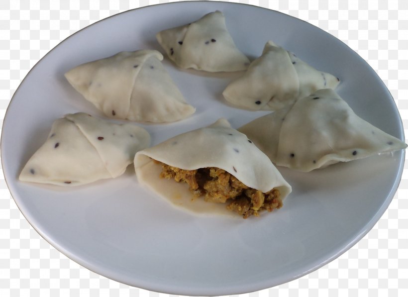 Pierogi Wonton Momo Samosa Deep-fried Butter, PNG, 1600x1165px, Pierogi, Deep Frying, Deepfried Butter, Dish, Dumpling Download Free