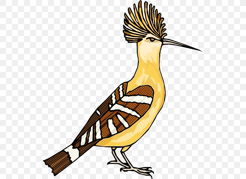 Bird Beak Eastern Meadowlark Roadrunner Perching Bird, PNG, 534x597px, Bird, Animal Figure, Beak, Eastern Meadowlark, House Sparrow Download Free