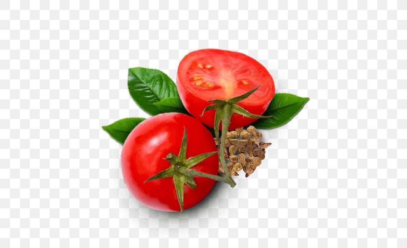 Bush Tomato Sodebo SA Food Antioxidant, PNG, 500x500px, Tomato, Acerola, Acerola Family, Antioxidant, Apple Download Free