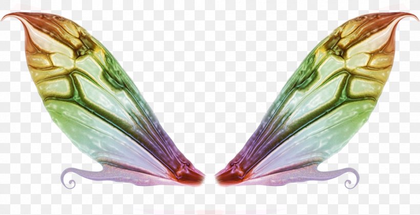 Fairy Image Clip Art Pattern Rainbow Magic, PNG, 1907x980px, Fairy, Butterfly, Drawing, Fairy Tale, Information Download Free
