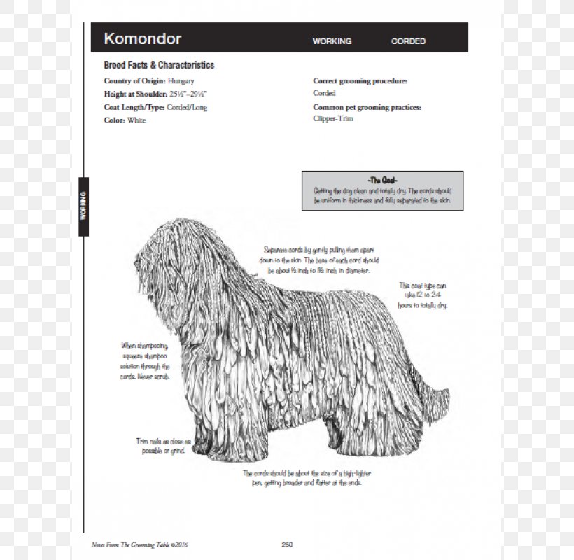Glen The Notes Pocket Pal: Notes From The Grooming Table ; An All-breed Grooming Guide For The Professional Pet Stylist Dog Grooming Schnauzer, PNG, 800x800px, Glen, Black And White, Book, Breed, Carnivoran Download Free
