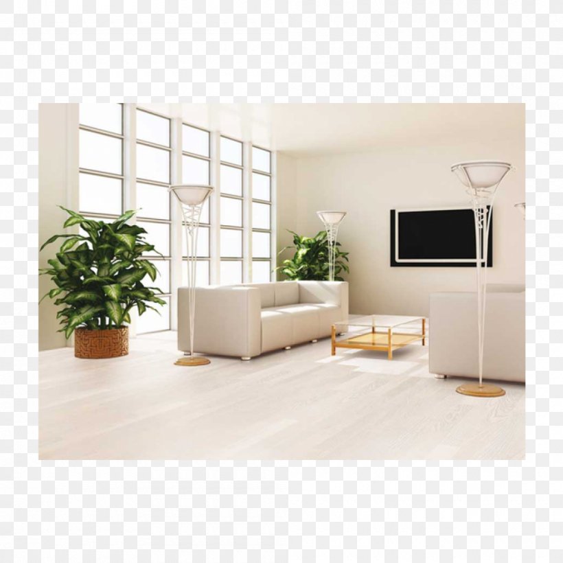 Living Room Feng Shui Plant Drawing Room Bedroom, PNG, 1000x1000px, Living Room, Bedroom, Bonsai, Couch, Drawing Room Download Free