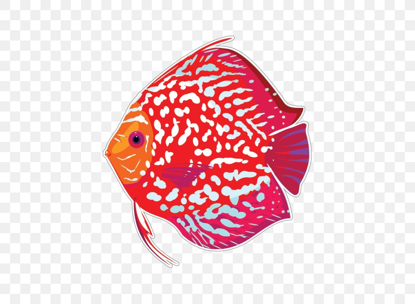 Tropical Fish Aquarium Red Discus Paper, PNG, 600x600px, Fish, Aquarium, Aquariums, Aulonocara, Cichlid Download Free