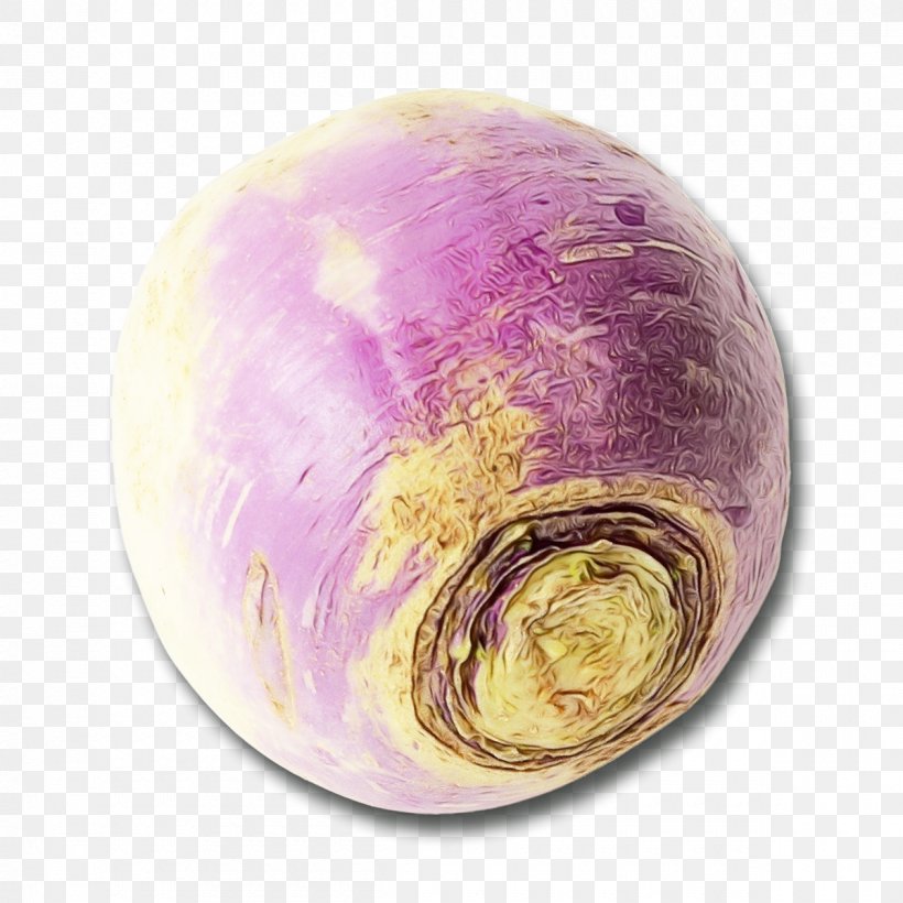 Violet Purple Vegetable Rutabaga Plant, PNG, 1200x1200px, Watercolor, Cabbage, Paint, Plant, Purple Download Free