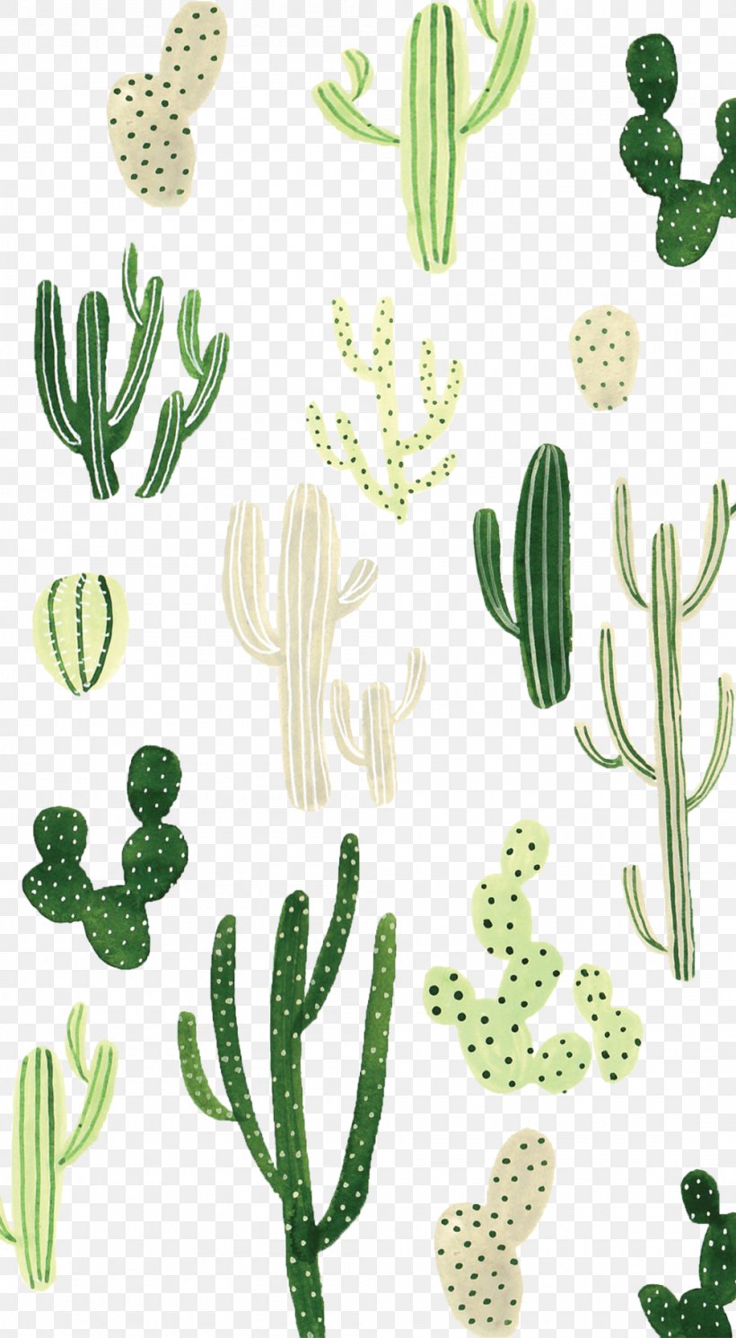 Minimalist Cactus iPhone Wallpapers  Top Free Minimalist Cactus iPhone  Backgrounds  WallpaperAccess