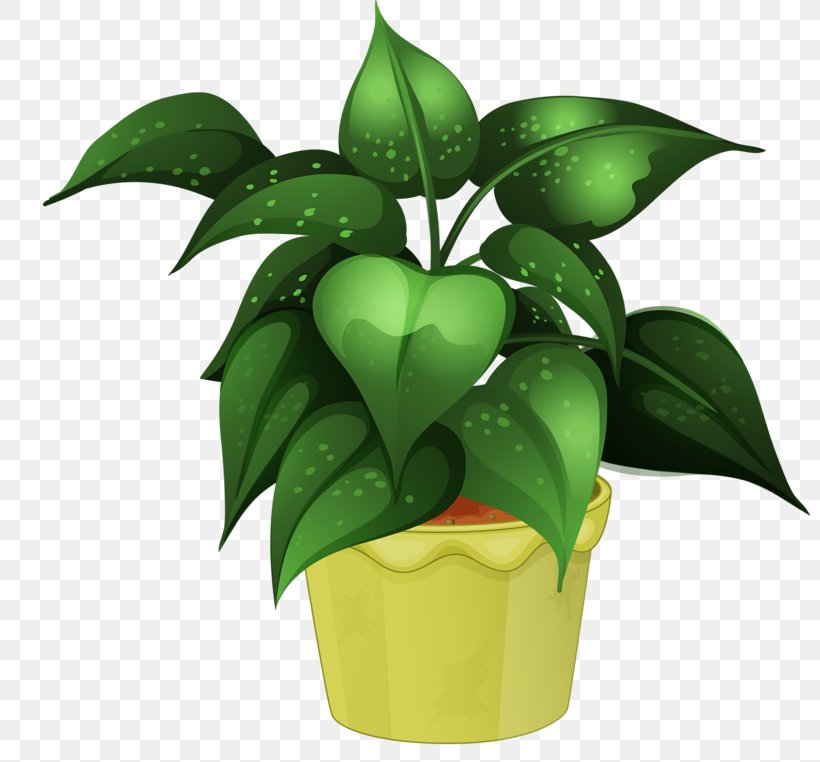 Houseplant Flower Cultivo, PNG, 800x762px, Plant, Aspidistra, Chlorophytum Comosum, Cultivo, Flower Download Free