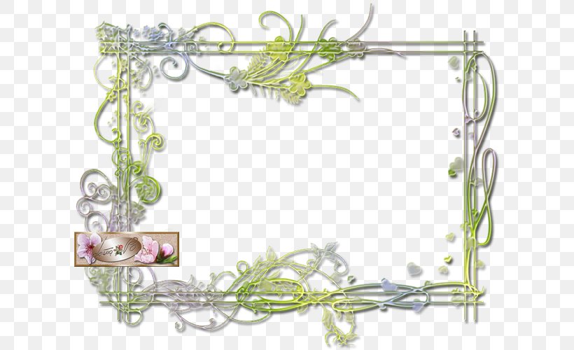 Picture Frames Graphic Design Photography, PNG, 700x500px, Picture Frames, Branch, Color, Film Frame, Flora Download Free