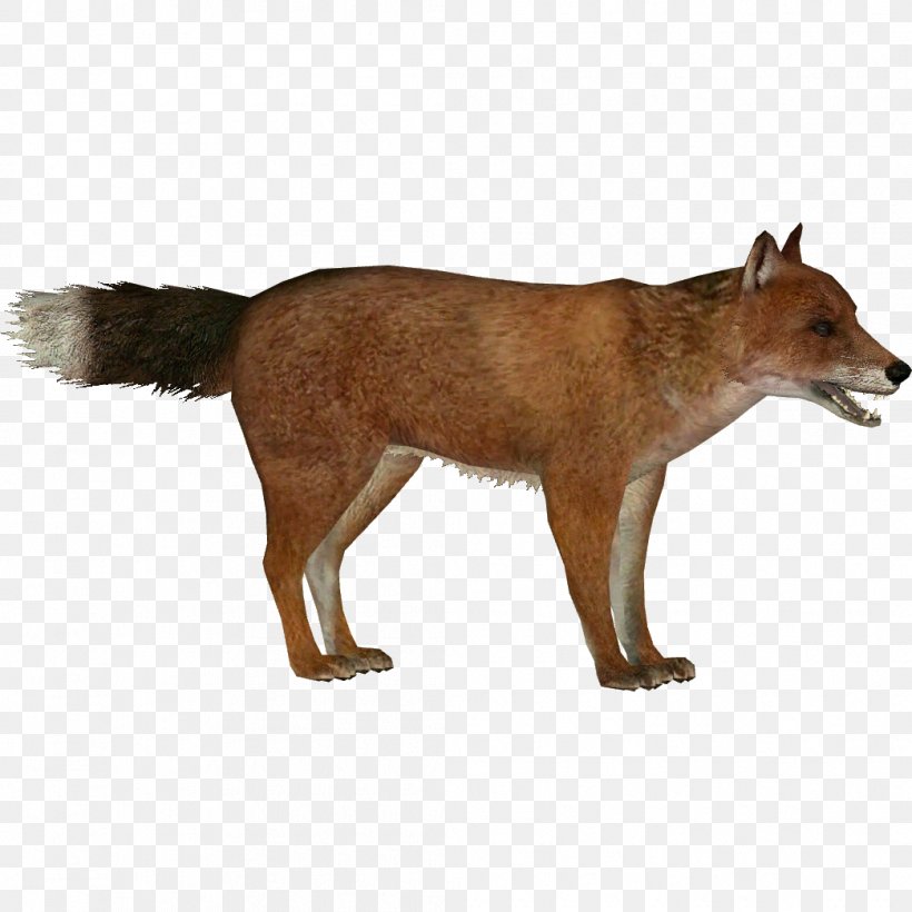 Red Fox Zoo Tycoon 2: Extinct Animals Falkland Islands Wolf Dhole Extinction, PNG, 1045x1045px, Red Fox, Animal, Carnivoran, Dhole, Dog Like Mammal Download Free