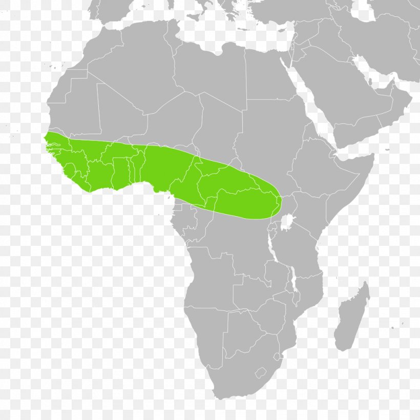 Somalia Conflicts In The Horn Of Africa Barbara Europe Sultanate Of Ifat, PNG, 1024x1024px, Somalia, Africa, Barbara, Blank Map, Country Download Free