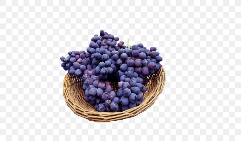 Juice Wine Concord Grape Fruit, PNG, 569x480px, Juice, Berry, Bilberry, Blackberry, Blueberry Download Free