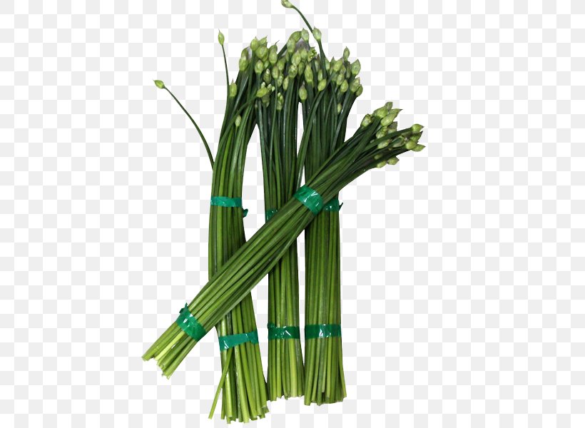 Allium Fistulosum Cabbage Vegetable Garlic Chives Sichuan Cuisine, PNG, 600x600px, Allium Fistulosum, Brassica Oleracea, Cabbage, Food, Fruit Download Free
