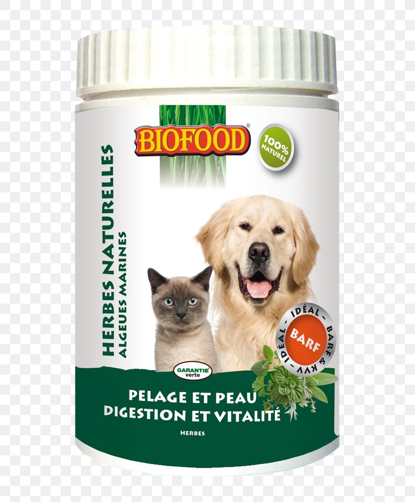 Dietary Supplement Dog Cat Food Eating, PNG, 586x992px, Dietary Supplement, Breed, Cat, Companion Dog, Croquette Download Free