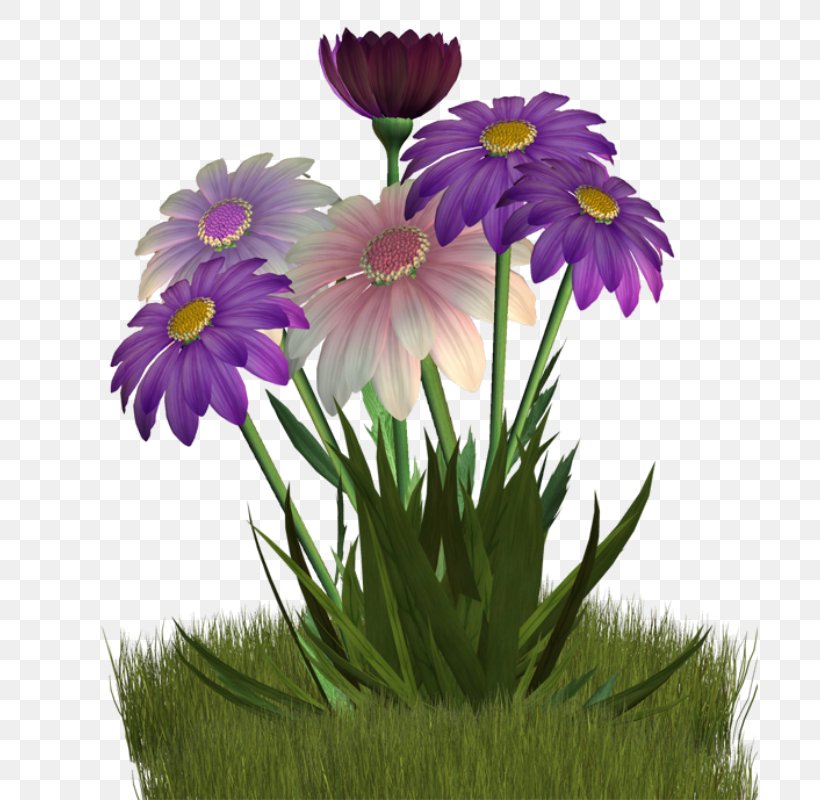 Flower Clip Art, PNG, 697x800px, Flower, Annual Plant, Aster, Cut Flowers, Daisy Download Free