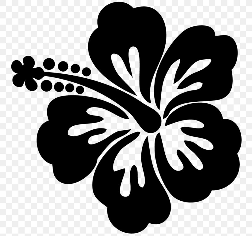 Stencil Shoeblackplant Drawing Painting Flower, PNG, 768x768px, Stencil ...