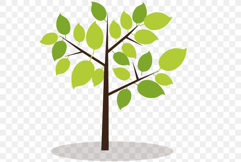 Tree, PNG, 550x550px, Tree, Branch, Child, Family Tree, Flora Download Free
