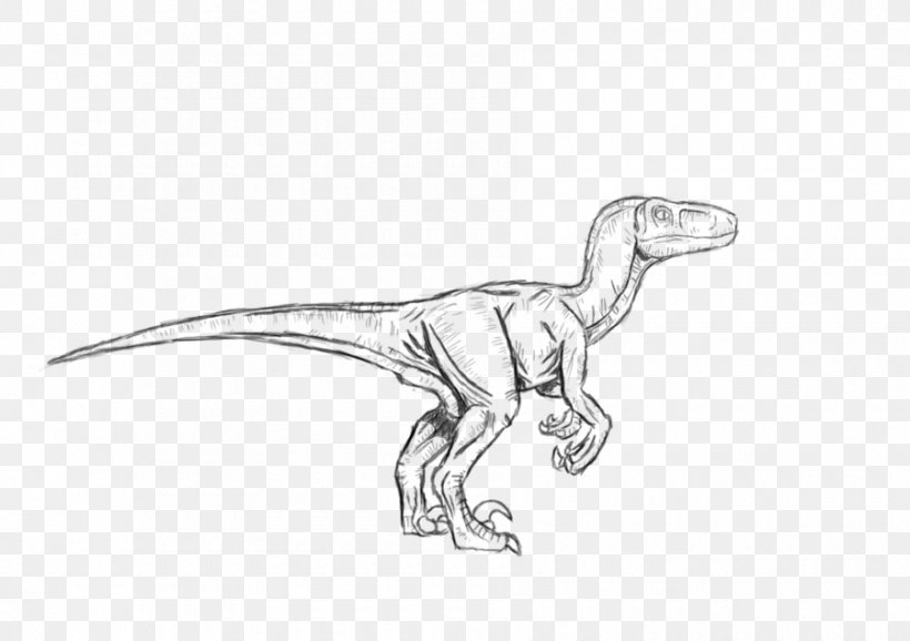 Velociraptor Troodon Tyrannosaurus Dilophosaurus Dinosaur, PNG, 900x635px, Velociraptor, Artwork, Black And White, Color, Coloring Book Download Free