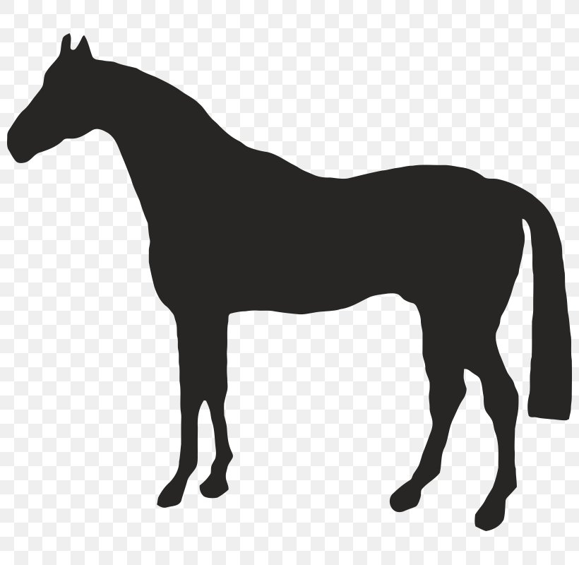 American Quarter Horse Drawing Clip Art, PNG, 800x800px, American Quarter Horse, Black, Black And White, Bridle, Colt Download Free
