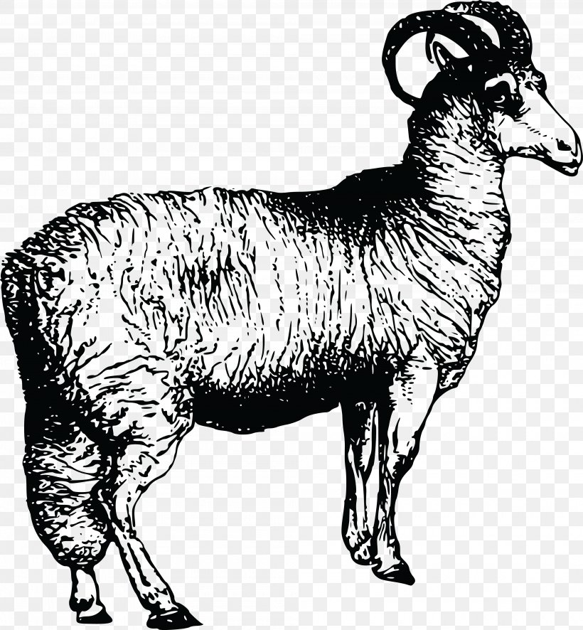 Argali Welsh Mountain Sheep Leicester Longwool Clip Art, PNG, 4000x4324px, Argali, Animal Figure, Black And White, Camel Like Mammal, Cattle Like Mammal Download Free