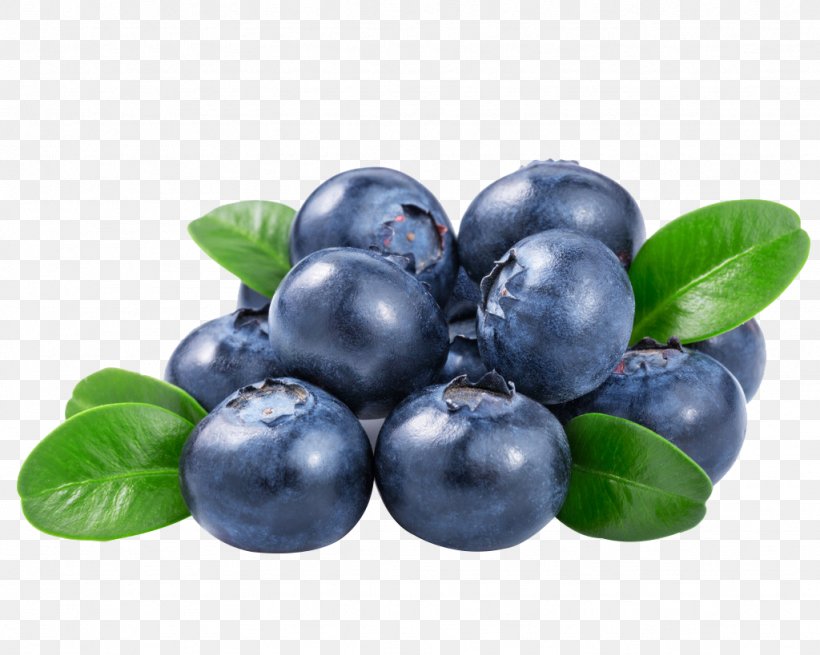 Blueberry Juice Vaccinium Corymbosum, PNG, 1024x819px, Blueberry, Berry, Bilberry, Blueberry Tea, Chokeberry Download Free