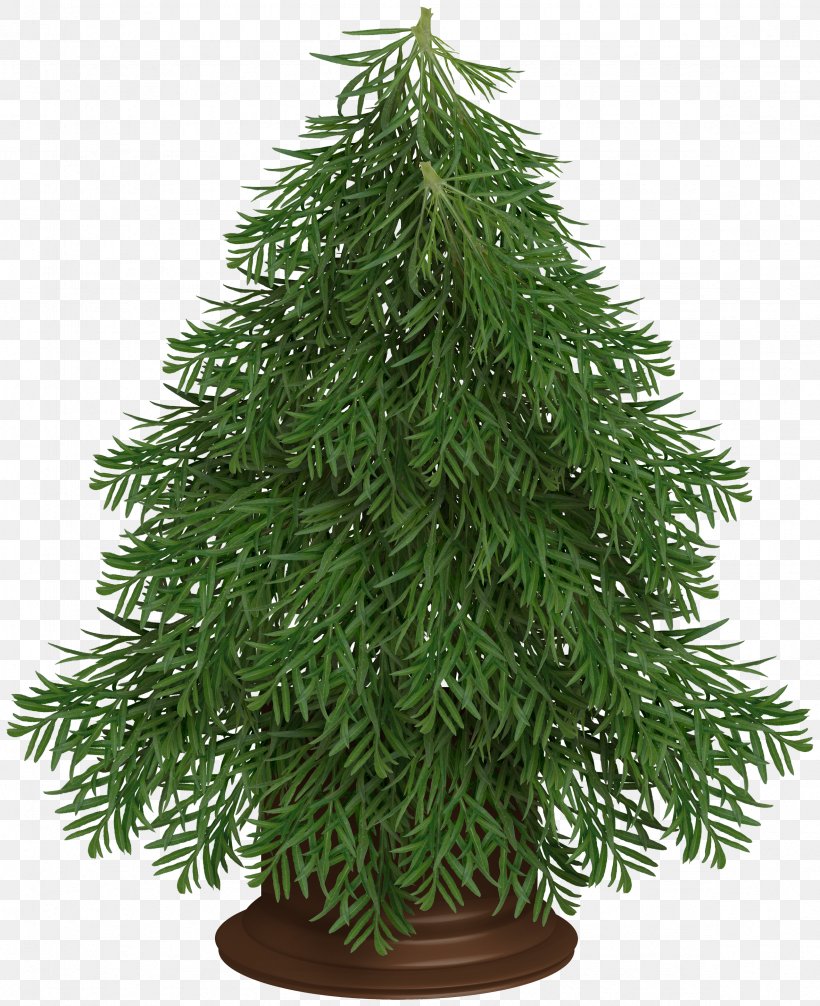 Christmas Tree, PNG, 2361x2899px, Christmas Tree, Branch, Christmas, Christmas And Holiday Season, Christmas Decoration Download Free