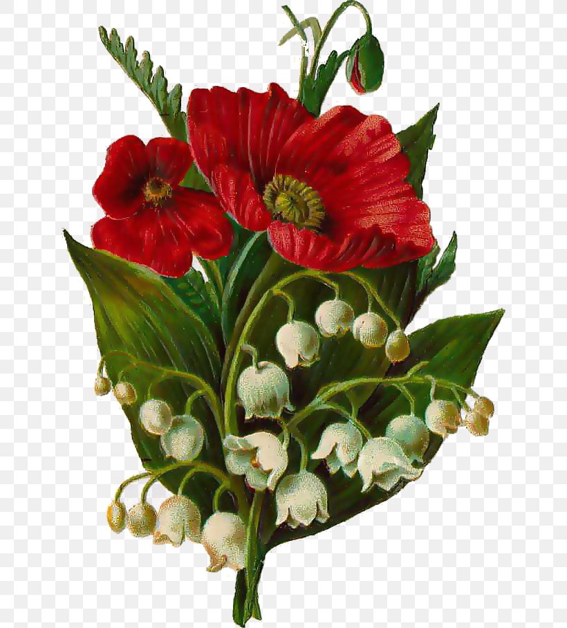 Cross-stitch Poppy Lilium Pattern, PNG, 642x908px, Crossstitch, Aida Cloth, Alstroemeriaceae, Annual Plant, Common Poppy Download Free