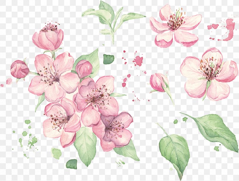Floral Design Watercolor Painting Stock Photography, PNG, 829x628px, Floral Design, Banco De Imagens, Blossom, Branch, Cherry Blossom Download Free