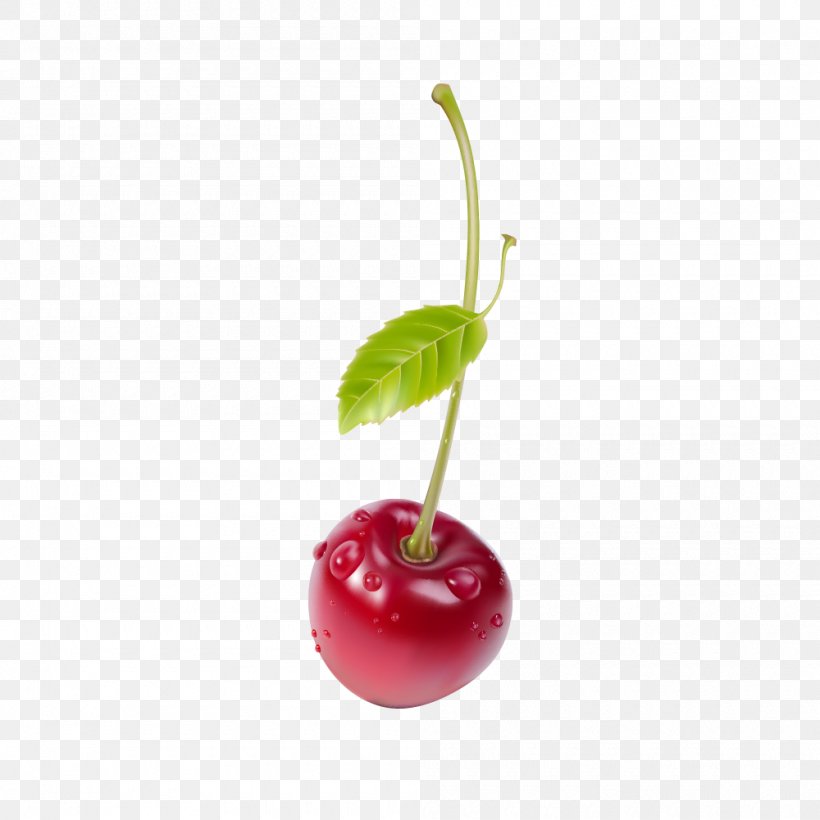 Juice Cherry Fruit Salad, PNG, 1000x1001px, Juice, Berry, Cherry, Concentrate, Drawing Download Free