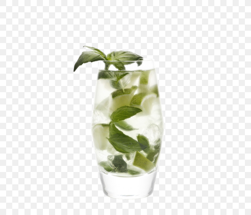 Leaf Plant Vase Highball Glass Lemon Basil, PNG, 465x700px, Leaf, Basil, Drink, Flower, Glass Download Free