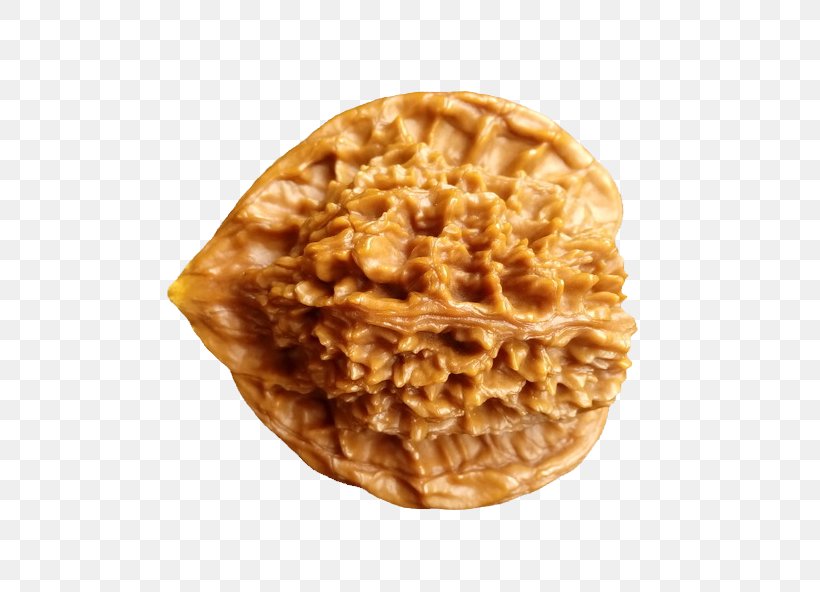 Waffle Walnut Juglans Hopeiensis, PNG, 576x592px, Waffle, American Food, Baked Goods, Breakfast, Cookie Download Free