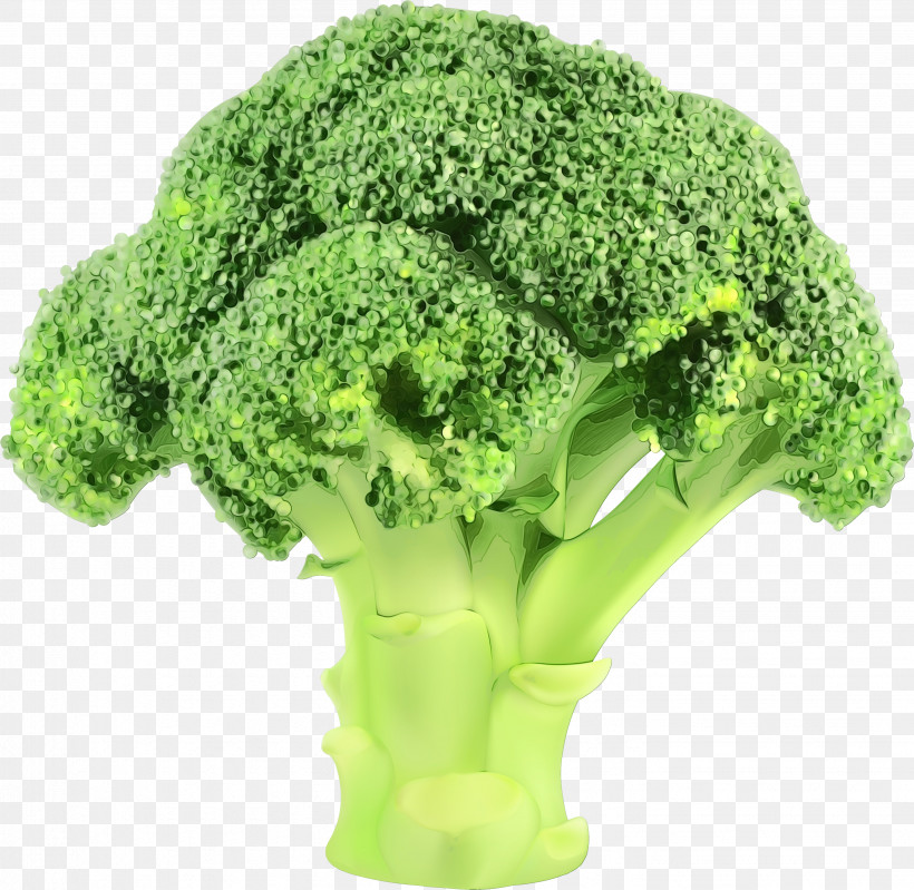 Cauliflower, PNG, 2881x2810px, Watercolor, Broccoflower, Broccoli, Cabbage, Cauliflower Download Free
