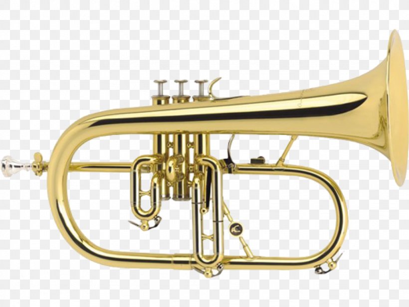 Flugelhorn Brass Instruments Antoine Courtois Musical Instruments Trumpet, PNG, 1024x768px, Watercolor, Cartoon, Flower, Frame, Heart Download Free