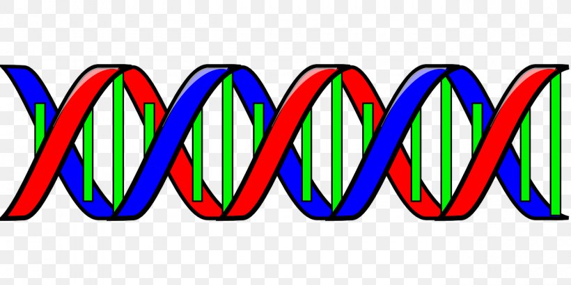 Nucleic Acid Double Helix DNA Clip Art, PNG, 1280x640px, Nucleic Acid Double Helix, Area, Brand, Dna, Dnau2013dna Hybridization Download Free